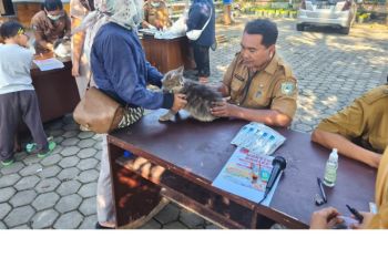 Mataram beri layanan vaksin rabies gratis