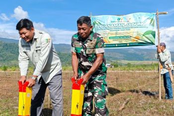 Badan Bank Tanah-TNI manfaatkan lahan di Poso untuk padi dan jagung