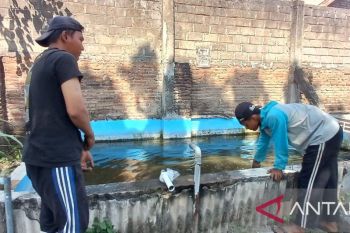 Lapas Kediri berdayakan warga binaan dengan budidaya ikan lele