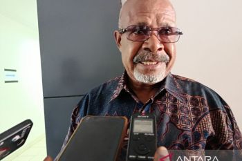 Pemprov Papeg mendorong dinkes kabupaten perkuat laporan program nasional