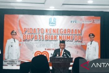 Kemenhub RI tetapkan status Bandara Internasional Frans Kaisiepo Biak