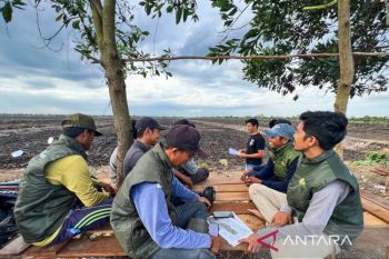 Menargetkan Rp2 miliar di ladang sawah berteknologi