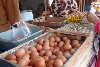 Disperindag sebut harga bahan pokok di Lebak relatif stabil