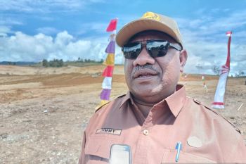 Pemprov Papeg upayakan kerja sama Garuda-Citilink membuka keterisolasian