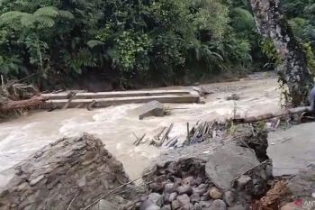 Jembatan penghubung Sinuangon Cubadak Barat, Pasaman terputus dihantam arus sungai (Video)