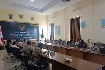 Karantina perketat pengawasan daging celeng ilegal cegah demam babi