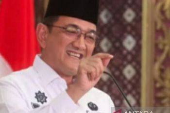 Sumsel tingkatkan fungsi posyandu perhatikan perkembangan anak