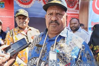 Wagub Pahabol pastikan buka akses kerja sama ekonomi dengan Freeport