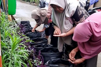 Dorong pangan lokal, Pertamina Patra RJBB adakan pelatihan urban farming