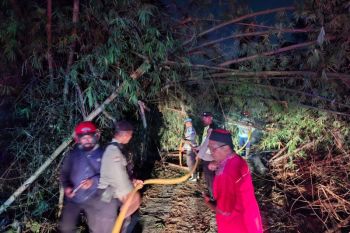 Damkarmat BPBD Bantul memadamkan kebakaran lahan rumpun bambu Piyungan