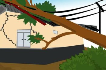 Cuaca ekstrem di DIY memicu pohon tumbang hingga puluhan rumah tergenang