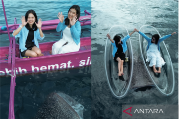 Nikmati sensasi wisata Hiu Paus, hanya 28 Menit dari Hotel Aston Gorontalo