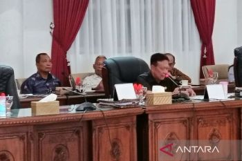 DPRD bersama Pemkab Barito Selatan bahas penyempurnaan Raperda RPJMD