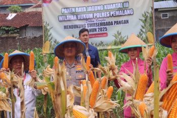 Polres Pemalang-Pemkab lakukan panen jagung
