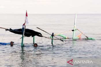 Puluhan perahu layar wisata di Pasir Putih tenggelam dihantam gelombang