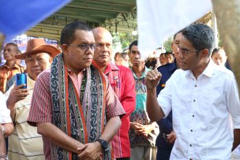 Pemprov NTT mengklaim berhasil intensifikasi tanaman pangan