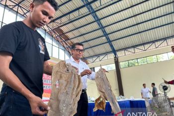 Polda Kepri selamatkan negara dari potensi kerugian Rp1,3 M
