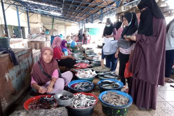 Pembangunan los pasar ikan bersih di Mataram dilelang Rp550 juta