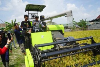 Pemkab Sidrap modernisasi pertanian dengan demplot mesin padi