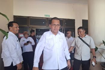 Gubernur NTT: PLTS jadi tulang punggung energi transisi