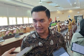Legislator Kalteng sebut warga Kotim dan Seruyan minta jaringan listrik stabil