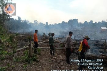 BPBD Musi Banyuasin padamkan lima hektare  lahan terbakar