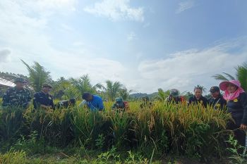 Kodim Talaud dukung ketahanan pangan wilayah kepulauan
