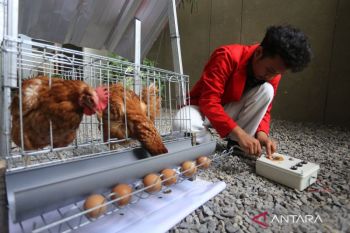 Indonesia calls on universities to boost research, innovation