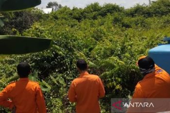 Banjarmasin to keep fire alert status amidst rain