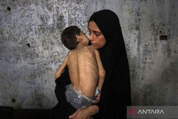 IPC: Gaza Alami Bencana Kelaparan, Pertama Kali Terjadi di Timur Tengah