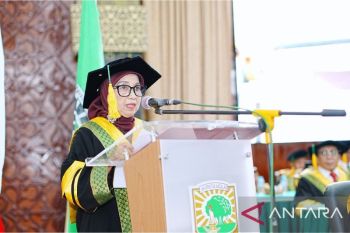 Pakar: Zeolit di Solok berpotensi jadi sumber baru ekonomi rakyat