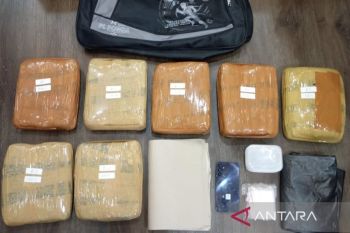 Polisi tangkap pemuda yang simpan 7 kg ganja siap edar di Jaktim