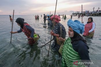 Festival Wowine Wakatobi