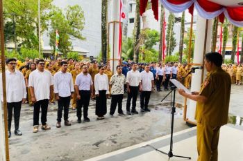 Pemkot Ambon bentuk tim pemanfaatan penggunaan RTP Pantai Wainitu dorong pertumbuhan ekonomi