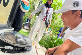 Usai gigitan anjing liar makan korban, Posko vaksin anti-rabies didirikan di Pekanbaru