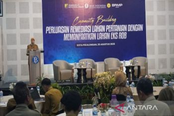 Pemkot Pekalongan jadikan produktif lahan bekas rob