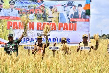 Bupati Kapuas tegaskan pertanian jadi sektor prioritas
