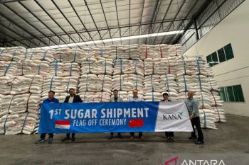 Jejak koperasi dan manisnya gula Indonesia di panggung dunia