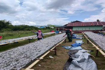 TNI AD di Gorontalo Utara bantu penjemuran ikan teri milik nelayan