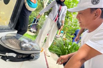 Usai warga digigit anjing, Distankan Pekanbaru vaksin anti rabies ratusan hewan peliharaan