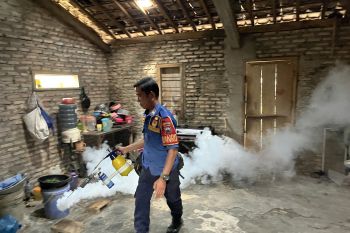 Dinkes Lampung Selatan pastikan lakukan pengasapan di daerah rawan DBD