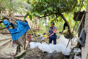 Pemkab Lampung Selatan gencarkan pengasapan untuk cegah penularan DBD