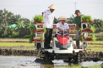 Sawah 512 ha terdampak banjir di Demak berhasil dipulihkan