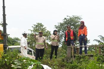 Gawat, dampak tumpahan minyak PT Vale meluas di Luwu Timur