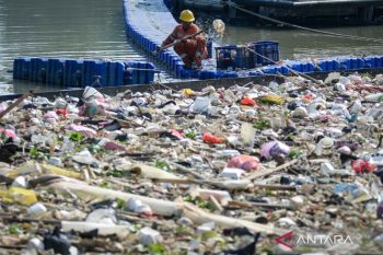 Over 70 pct of Indonesian rivers are moderately polluted: ministry
