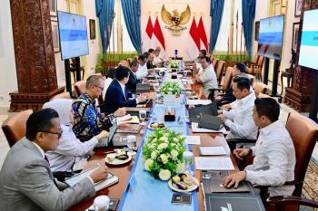 Menteri BUMN tegaskan dukungan bagi program listrik desa dan kopdes