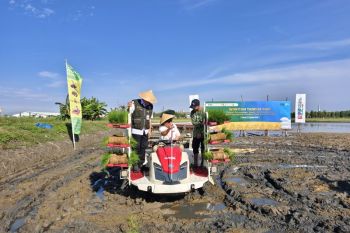 "Wiwitan Tandur Pari", sinergi BI Jateng tangani sawah terdampak banjir Demak