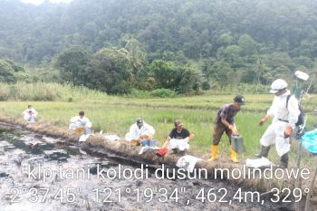 Bersama Pulihkan Towuti: Pemerintah, Masyarakat, dan PT Vale Kolaborasi untuk Ketahanan