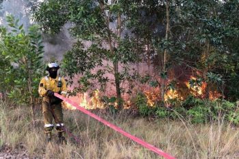 Kebakaran lahan di Bintan berhasil dipadamkan