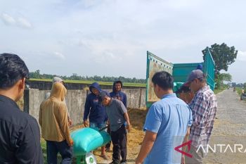 Stok beras di OKU Raya aman hingga akhir tahun